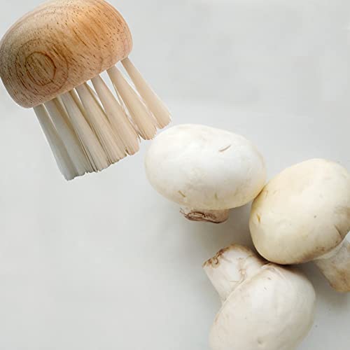 Cuisinox Mushroom Brush with Wooden Top