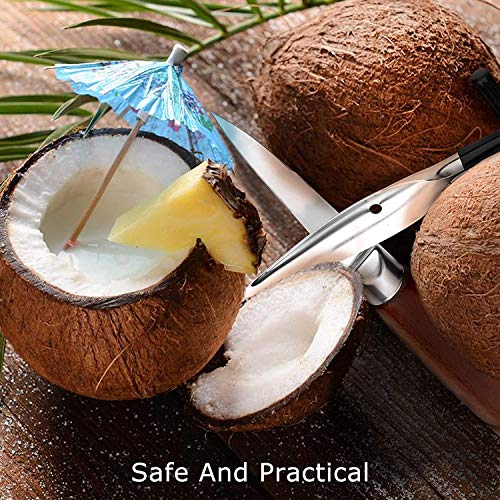 2 PCS Coconut Opener Tool Set Coconut Meat Remover Stainless Steel Coconut Opener Scraper Knife Coconut Punch Tool with Durable Non-Slip Wooden Handle Scraper