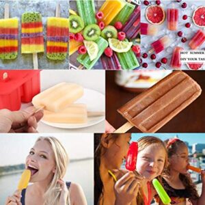 Silicone Popsicles Molds, Homemade ICE Popsice Molds Food Grade BPA-Free with Popsicles Maker Sticks Popsicles Bags A Funnel, Popcycle Maker (Red-10 Cavity)