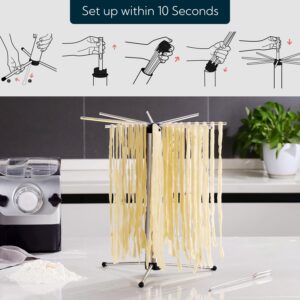 KITCHENDAO Collapsible Pasta Drying Rack, Foldable for Easy Storage, Rotary Arms, Detachable for Easy Cleaning, Stainless Steel Homemade Hanging for up to 6 lbs, Pasta Noodle Spaghetti Stand Hanger