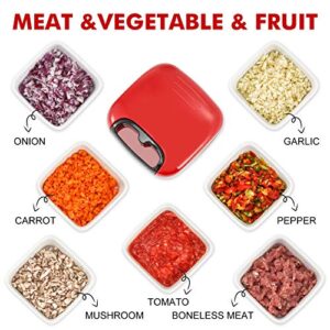 Manual Food Processor Vegetable Chopper, Geedel Pull Cutter with String for Veggies, Fruits, Salad, Onion, Ginger, Nuts, Herbs, etc, 2 Cup(500ml), Red