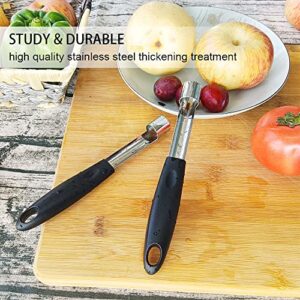 2PCS Apple Cupcake Corer, Fruit Vegetable Core Remover, Profession Healthy Stainless Steel Apple Remover Household Kitchen Tool for Fuji, Pears, Bell Peppers - Black