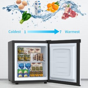 Compact Upright Freezer, Reversible Stainless Steel Door, Single Door, Adjustable Removable (Silver, 1.1 Cu. Ft.)