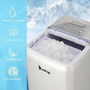 NA 120V 150W 44lbs/20kg/24h Ice Maker ABS Transparent Cover/Display Commercial/Home Silver