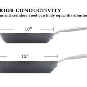 MsMk Non Stick Frying Pans, 10 Inch and 12 Inch Nonstick Frying Pan Set PFOA Free Non-Toxic, Skillet Set for Induction, Ceramic and Gas Cooktops