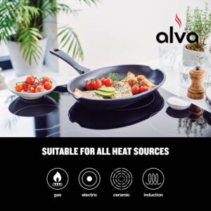 ALVA Energy Non Stick Fish Pan 13.4" Skillet, Oval Shaped Non Stick Frying Pan with Pour Spouts, Cast Aluminium Nonstick Fry Pan for Stove Top, Induction Compatible Cookware