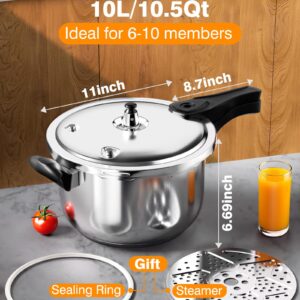WantJoin Stainless Steel Pressure Cooker(Non-Aluminum),10 Quart Induction Compatible Pressure Cooker with Spring Valve Safeguard Devices,Compatible with Gas & Induction Cooker