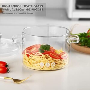 Glass Cooking Saucepan Stovetop Safe - ZDZDZ 1800ML/60Oz Microwave Glass Cooking Pot, Simmer Pot with Cover and Handle, Safe to Heat Pasta Noodle, Soup, Milk, Baby Food