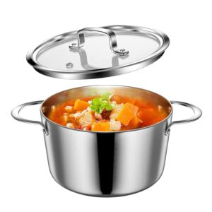 Stainless Steel Induction Pot with Glass Lid 3Qt, 7.9 Inch, Compatible with All Heat Sources, Oven Resistant, Dishwasher Safe, Stockpot Stew Cooking Pot