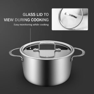 Stainless Steel Induction Pot with Glass Lid 3Qt, 7.9 Inch, Compatible with All Heat Sources, Oven Resistant, Dishwasher Safe, Stockpot Stew Cooking Pot