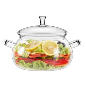 xjlvsv 64 oz (2 quart) glass clear saucepan with lid,best handmade easy clean heat resistant glass cooking pot for noodles, soup, cereals, fruits