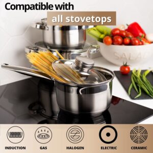 Daniks Standard Stainless Steel Kitchen Induction Pot Cookware Set | 6-Piece | Dishwasher Safe Pots | 2 Quart + 3 Quart + 4 Quart | Measuring Scale | Silver