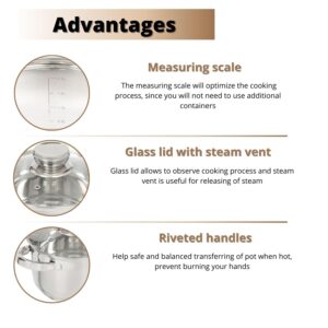 Daniks Standard Stainless Steel Kitchen Induction Pot Cookware Set | 6-Piece | Dishwasher Safe Pots | 2 Quart + 3 Quart + 4 Quart | Measuring Scale | Silver