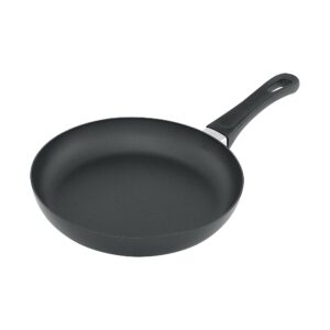 scanpan classic 10.25 inch fry pan