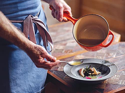 Healthy Choices 1 Qt Small Enameled Cast Iron Sauce Pan with Lid, Mini Enamel Sauce Pot, Single Serving Pasta Sauce, Gravy, Puddings & 2-4 Eggs, Butter Warmer, All Cooktops - 500°F, Dishwasher Orange