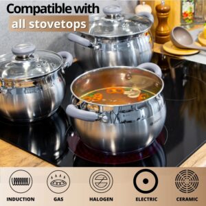 Daniks Modern Stainless Steel Kitchen Induction Pot Cookware Set | 6-Piece | Dishwasher Safe Pots | 2 Quart + 3 Quart + 4 Quart | Heatproof Handles | Silver