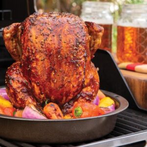 Nordic Ware 365 Indoor/Outdoor Beer Can Marinade Chicken Roaster, 11 by 3 inches, Brown