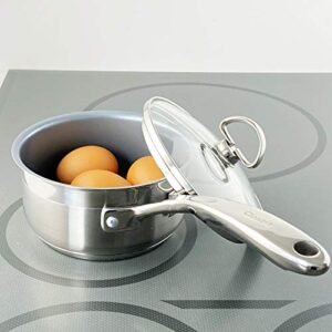 Chantal SLIN35-140C Induction 21 Steel Saucepan, 1 quart, Stainless