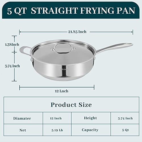 DELUXE 12 Inch Stainless Steel Skillet Frying Pan, Large Pan with Lid and Stay-Cool Handle, 5qt Deep Sauté Pans for Deep-Fry Braise Stew, Multipurpose Cooking Pot for Induction Gas Stove