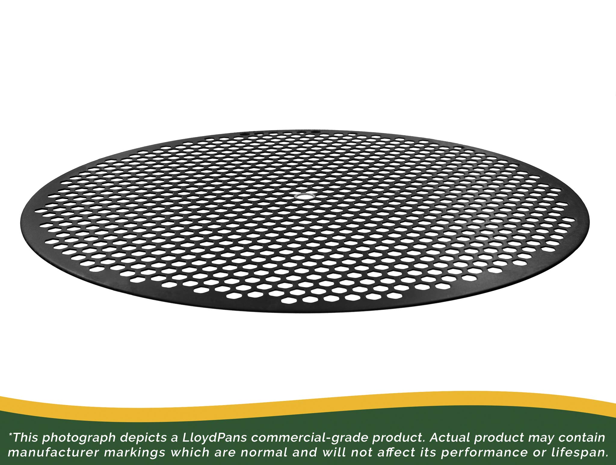 LloydPans Hex Disk, Pre-Seasoned PSTK (1, 12 inch)