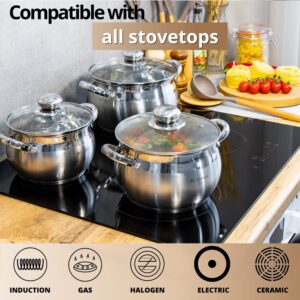 Daniks Classic Stainless Steel Kitchen Induction Pot Cookware Set | 6-Piece | Dishwasher Safe Pots with Lid | 2 Quart + 3 Quart + 4 Quart | Measuring Scale | Silver