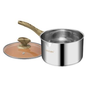 VENTION 2 Quart Stainless Steel Saucepan with Lid, Sauce Pan with Pour Spout, Small Pots for Cooking, Left Hand