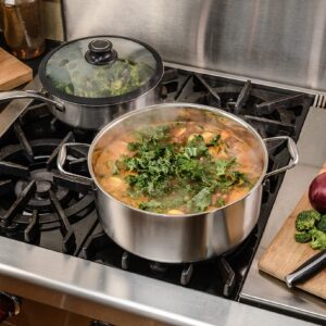 Black Cube Stainless Steel 7.5 QT Stockpot With Lid, 3 Ply Professional Grade Steel 11-inch Pot, Sliver, Dishwasher Safe.