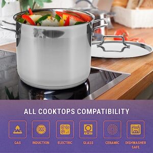 Hascevher Industry Leading Commercial - Grade 18/10 Stainless Steel Stock Pot with Cover 5 Quart, Induction Compatible