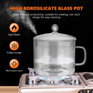DOITOOL Glass Saucepan with Cover - Heat-Resistant Small Glass Simmer Pot for Stove Potpourri - Glass Cookware Glass Pots for Cooking on Stove for Pasta Noodle, Soup, Tea