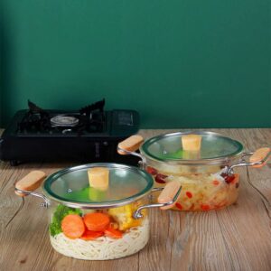 3QT Glass Cooking Pot 3L Glass Simmer Pot Compatible for Potpourri,Stove Top,Milk,Soup,Tea,Noodles,Microwave Cookware with Wooden Handle&Lid,Glass Saucepan with Cover,Heat-Resistant