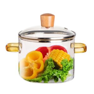 tobhuyexzx glass pot, 50oz glass pots for cooking on stove, simmer pot with two handles, small pasta pot with cover, clear pots for cooking