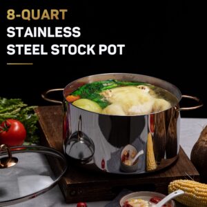 Ciwete Stainless Steel Stock Pot & Sacepan Set (8 Qt & 2 Qt)