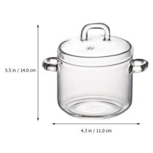 Glass Cooking Sauce Pan Glass Saucepan with Lid Stew Pot Steaming Cup Steam Soup Bowl Stovetop Cooking Noodle Pot for Egg Custard Birds Nest Tonic 700ml Glass Soup Pot