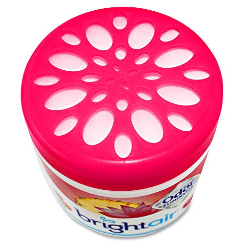 Bright Air Super Odor Eliminator Air Freshener