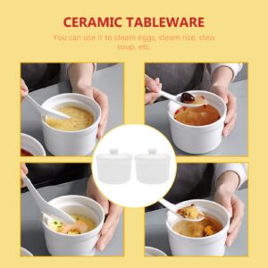 Angoily 2pcs Ceramic Stew Pot with Lid Small Steam Soup Bowl Steaming Cup Stockpot Cookware for Egg Custard Medicinal Birds