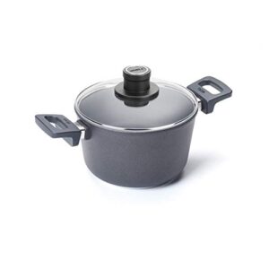 woll nowo titanium stockpot with lid, 3.2 quart, 8 inch diameter