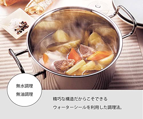 Miyazaki Seisakusho Kitchen Supplies/Dishes Frying Two-Handed pan, 20cm, Clear