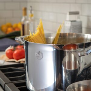 SAVEUR SELECTS Tri-ply Stainless Steel 8-Quart Stock Pot with Lid, Induction-ready, Dishwasher Safe, Voyage Series