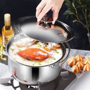 Hemoton Pots Stainless Steel Pot 7 Quart Stainless Steel Stockpot with Lid Stainless Steel Stock Pot Soup Pot Stew Pot Cooking Pot Induction Pot Stainless Steel Pot