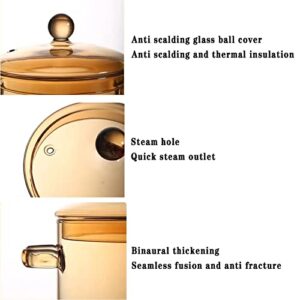 Glass Simmer Pot with Cover Glass Cookware for Stovetop 1.5L Glass Saucepan with Double handle for Stovetop Safe for Pasta Noodle Soup Milk Baby Food （Amber）