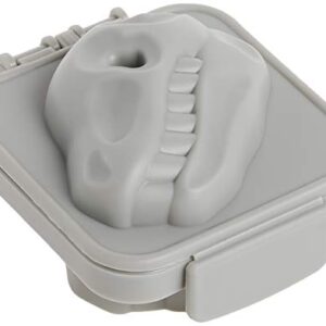 Genuine Fred Dino Genuine Fred MATIC Hard-Boiled Egg Mold, Small