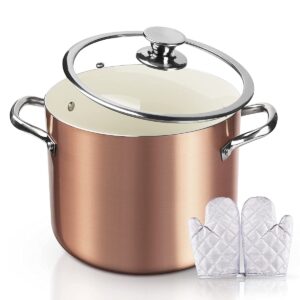 FRUITEAM Nonstick Stock Pot 7 Qt Soup Pasta Pot with Lid, 7-Quart Multi Stockpot Oven Safe Cooking Pot for Stew, Sauce & Reheat Food, Induction/Oven/Gas/Stovetops Compatible for Family Meals