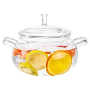 glass cooking pot,83oz/2500ml clear glass pots for cooking on stove with lid, large glass saucepan cookware set for pasta noodle, soup, milk, baby food