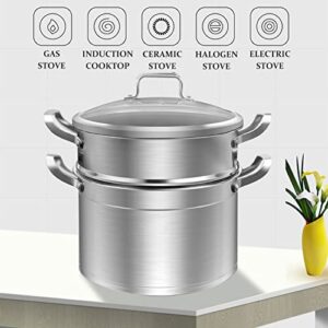 HZIB High capacity Multipurpose Stock Pot and Steamer Pot with PFOA-free,18/10 Stainless Steel Steamer,2-tier Cooking Pot with Lid for Soups,Seafood,Vegetables,Stews and Pasta