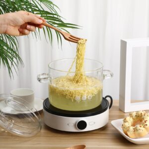 Glass Saucepan Heat- Resistant Borosilicate Glass Soup Pot Clear Pasta Instant Noodle Pot Pan Stew Cooker Baby Food Hot Pot with Lid 1900ml