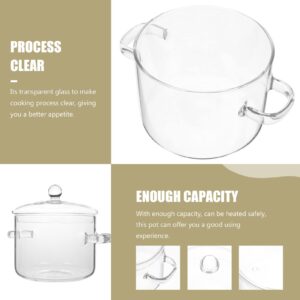 GANAZONO Glass Cooking Saucepan Stovetop Borosilicate Glass Cooking Pot with Lid and Handle Kitchen Pot for Pasta Noodle Soup Milk