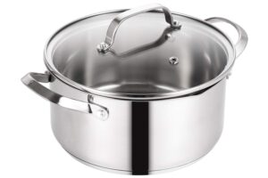 qstar 5 qt stainless steel nontoxic easy cooking stock pot with handle and glass lid