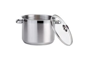 vinod 6 liters/6.3 quartz stockpot stainless steel with tempered glass lids | dishwasher safe | large cooking pot for indian food, soup, stew | induction-ready | 22cm | food grade stainless steel