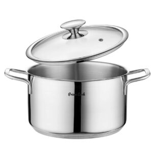 Prime Cook 4.8 qt. 18/10 Stainless Steel Soup Pot with Lid