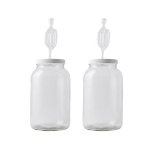 fastrack one gallon wide mouth jar with drilled lid & twin bubble airlock-set of 2, multicolor